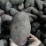精品，云南红皮黄心小土豆！基地直供，可一件，代，发