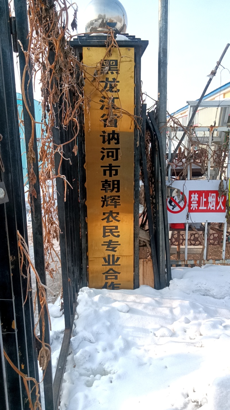 黑龙江省讷河市第三良种场朝辉农民专业合作社