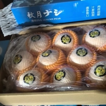 高品质礼盒秋月梨，超市，批发，市场。欢迎客商联系