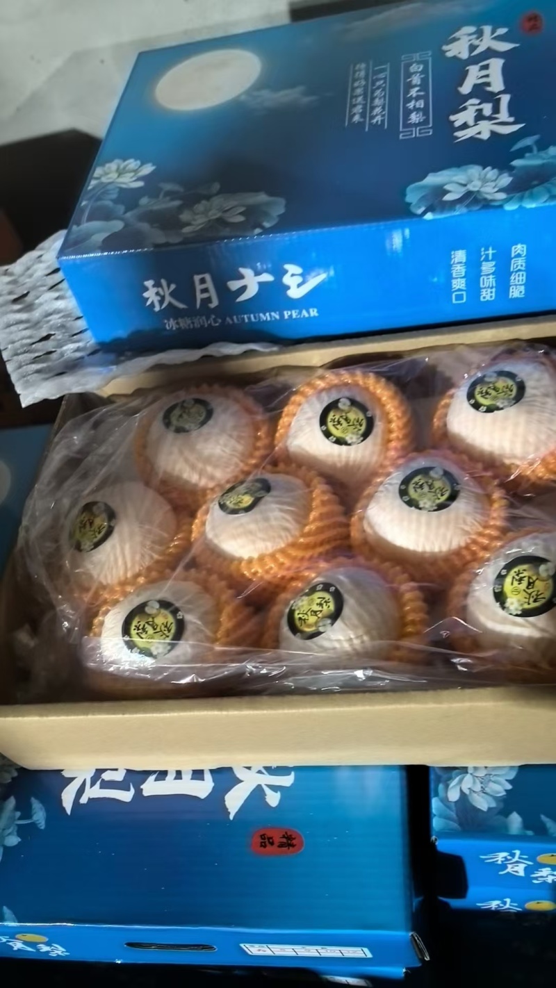 高品质礼盒秋月梨，超市，批发，市场。欢迎客商联系
