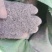 天然草木灰