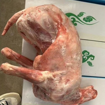 卧式羊
