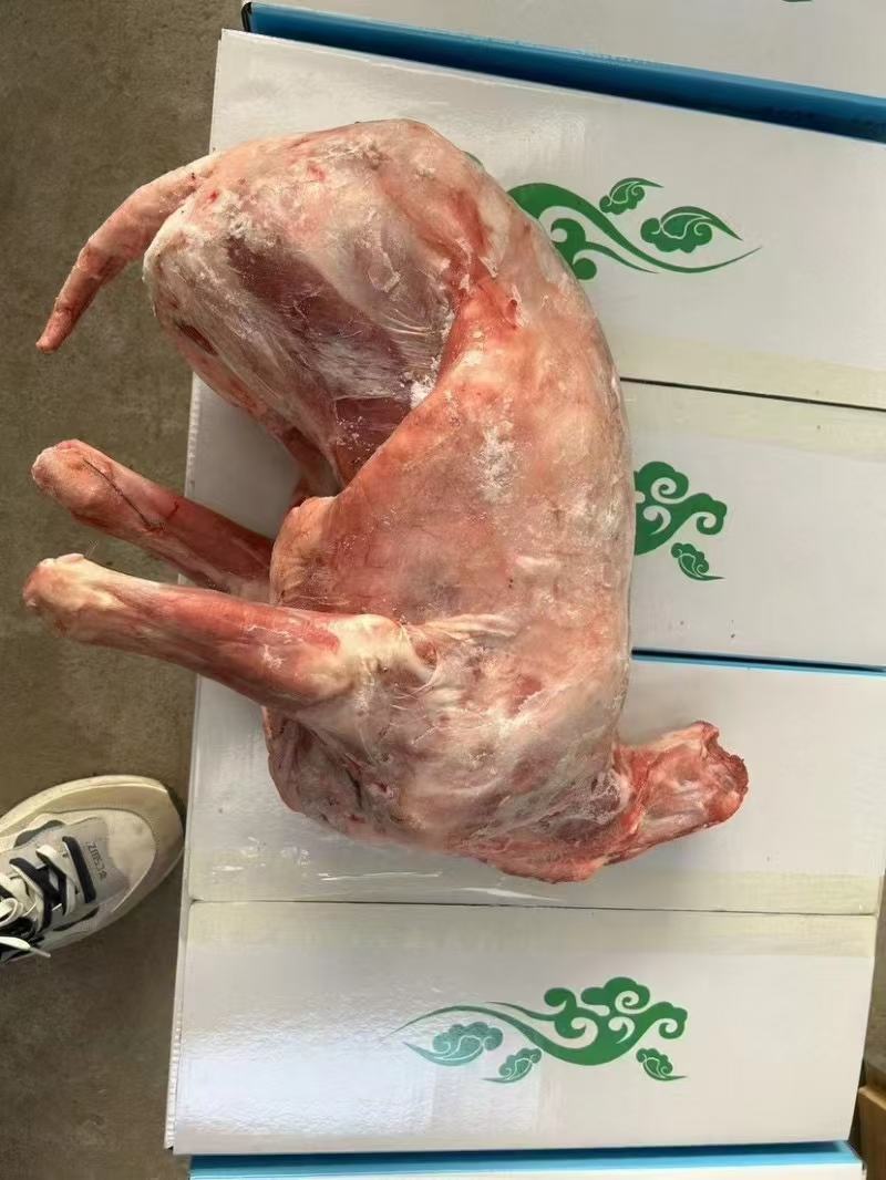卧式羊