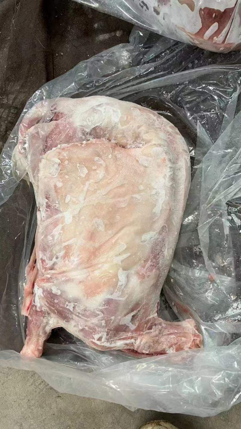 卧式羊