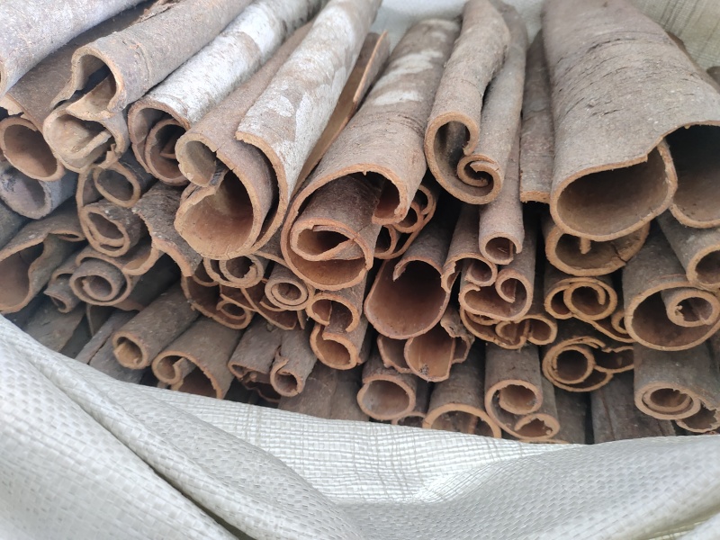 广西肉桂中通批发零售，欢迎来电咨询，规格齐全