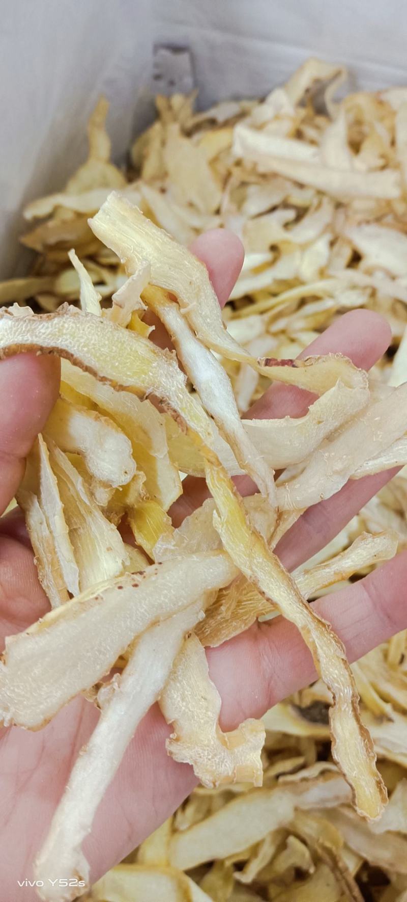 玉竹