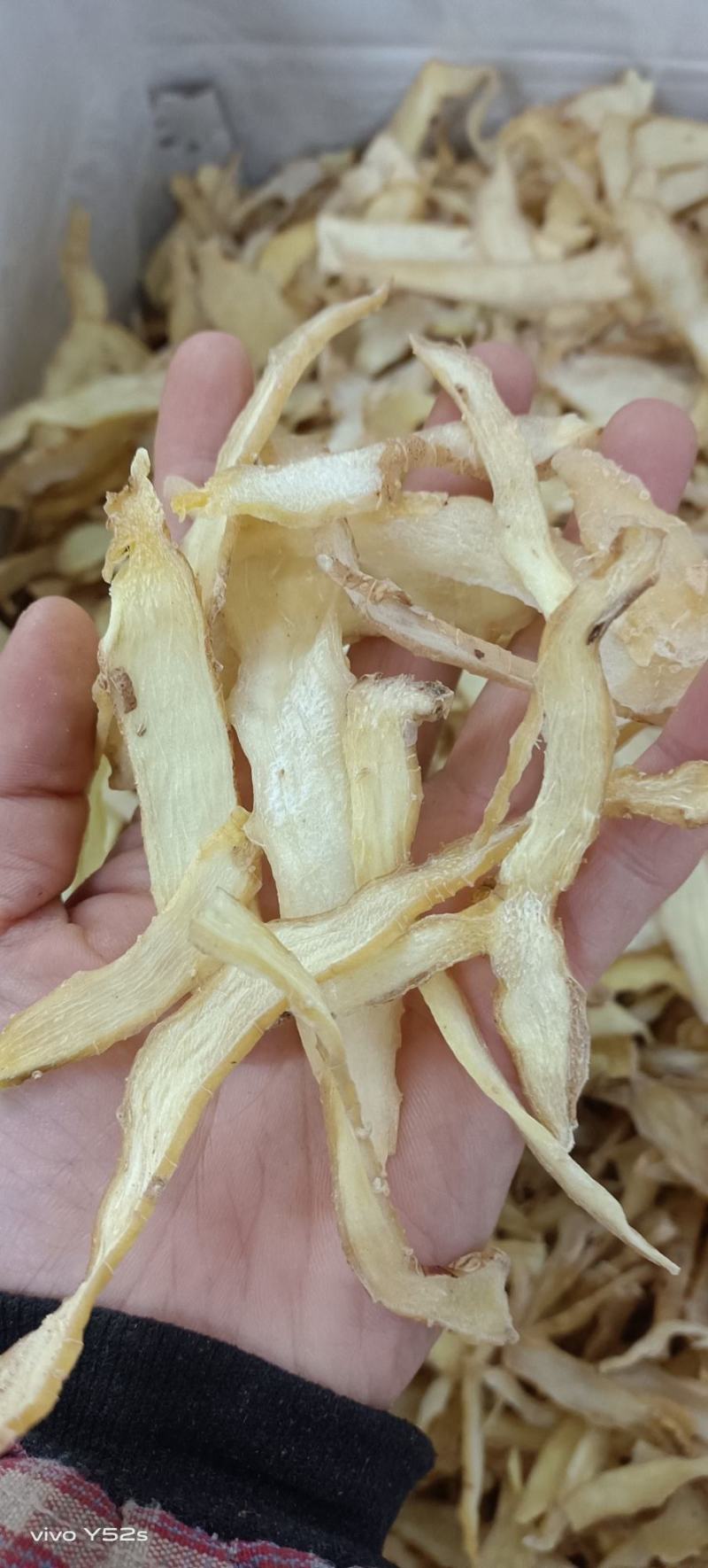 玉竹