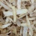 玉竹