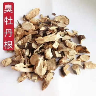 中药材臭牡丹根1公斤臭牡丹臭枫根