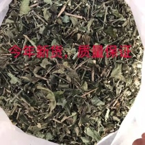 中药材白鹤灵芝草1公斤仙草,藓草,新货优选纯干产品,