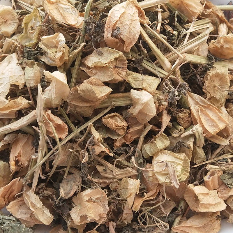 中药材灯笼草1公斤打卜草打额泡天泡草黄灯笼黄姑娘