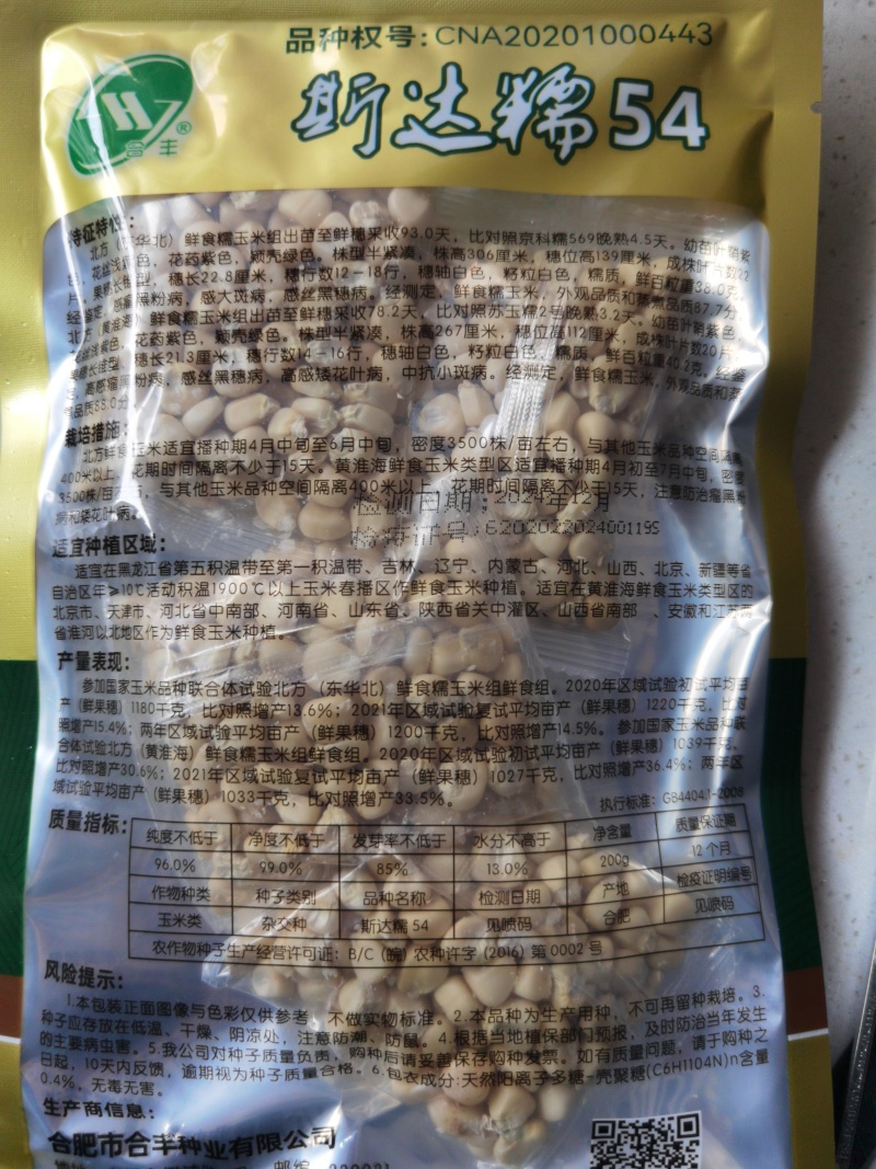 斯达糯51、54、38白糯玉米种子大田春秋高产鲜食甜味糯