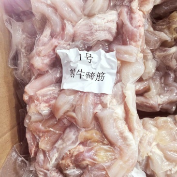 1号【熟牛蹄筋】牛蹄筋中段水煮无添加