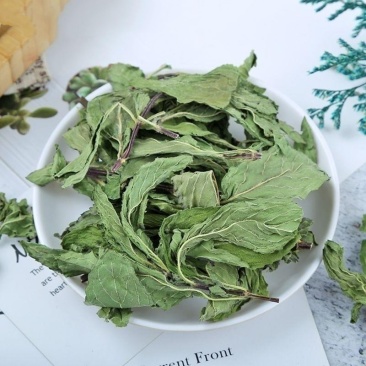 中药材薄荷叶1公斤干薄荷茶食用泡水新鲜薄荷叶可食用薄荷