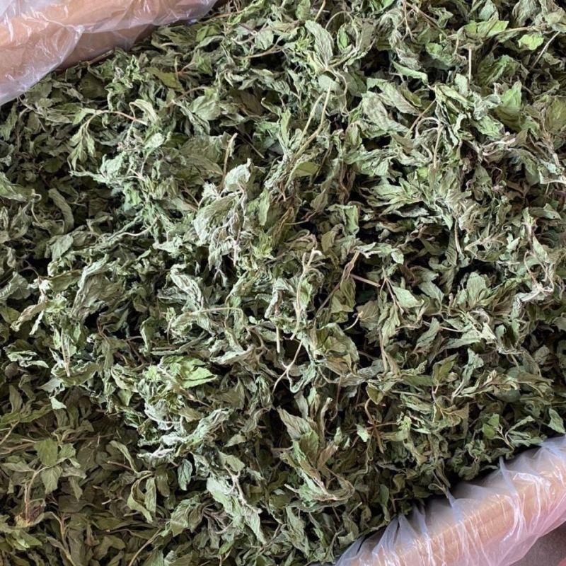 中药材薄荷叶1公斤干薄荷茶食用泡水新鲜薄荷叶可食用薄荷
