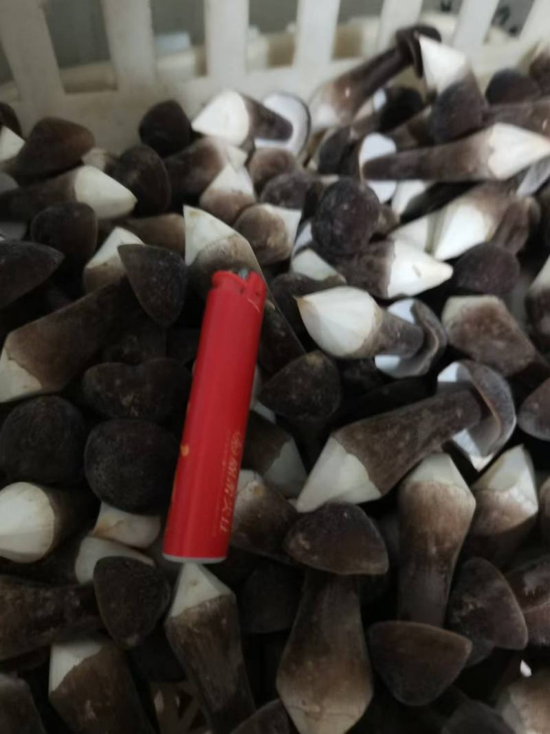 基地直供，货品保证，鲜甜可口，鲜品现货现发