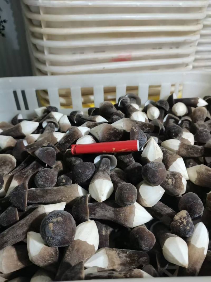 基地直供，货品保证，鲜甜可口，鲜品现货现发