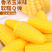 高粱饴糖果批发全国各地