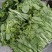 精品甜菜苔大量上市品质保证量大从优一手货源欢迎联联