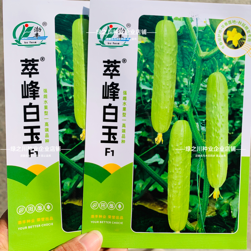 白玉黄瓜种子脆嫩清香水果黄瓜种子强雌早熟抗病农家春秋高产