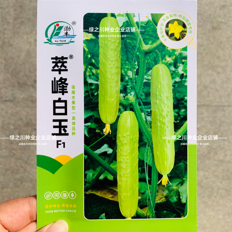 白玉黄瓜种子脆嫩清香水果黄瓜种子强雌早熟抗病农家春秋高产