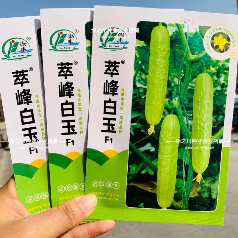 白玉黄瓜种子脆嫩清香水果黄瓜种子强雌早熟抗病农家春秋高产