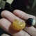 优质冷背中药材无患子，果皮可打粉，一次合作，终身朋友。