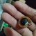 优质冷背中药材无患子，果皮可打粉，一次合作，终身朋友。