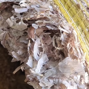 精品大蒜皮，质量保证价格合理，对接全国，欢迎咨询