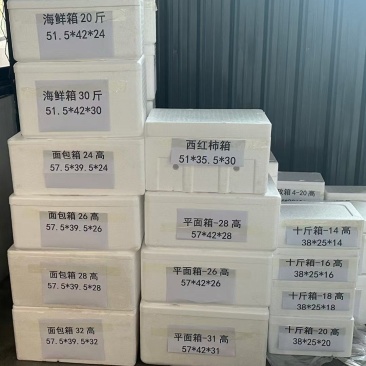 泡沫箱加急生产