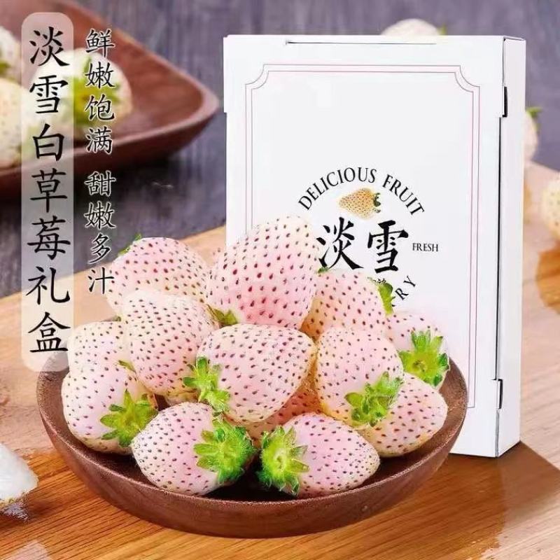 【一件代发】淡雪草莓品质保障新鲜现发顺丰发货