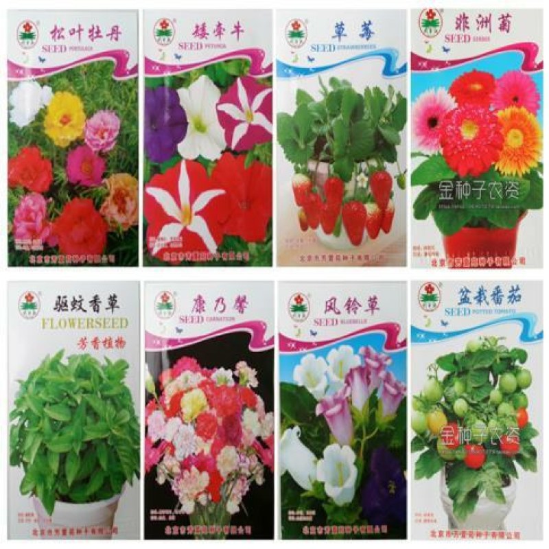 花卉种子套餐原包装彩包花种子套餐40个品种阳台盆栽