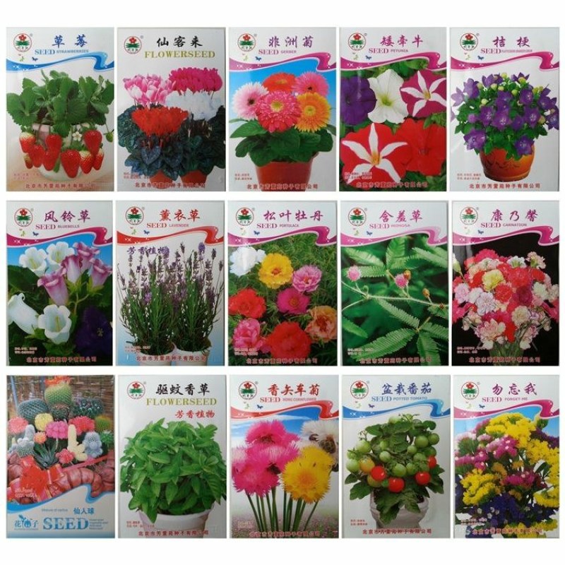 花卉种子套餐原包装彩包花种子套餐40个品种阳台盆栽