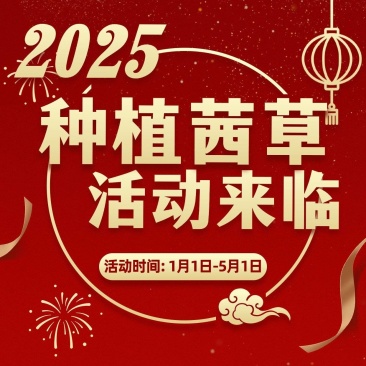 茜草种子0元购送五大福利与售后服务（看第二张图）