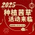 茜草种子0元购送五大福利与售后服务（看第二张图）
