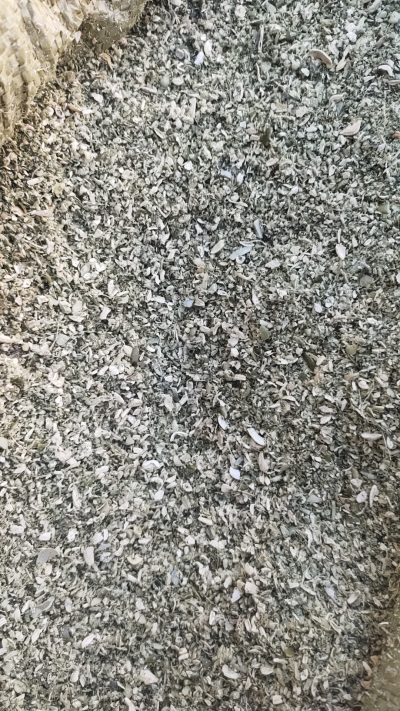 南瓜籽仁下角料