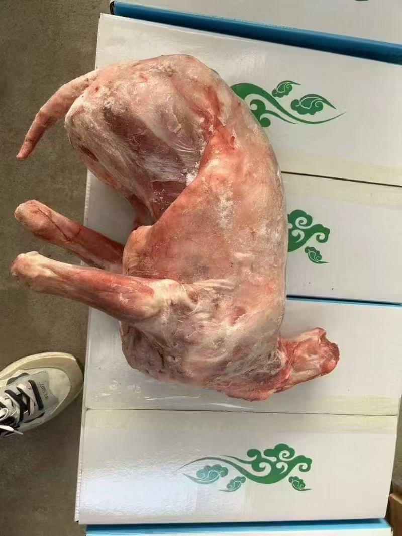 全羊