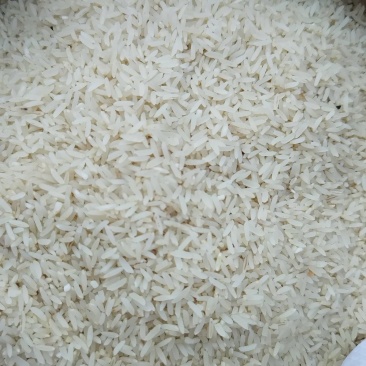 精品稻香米大量有货产地直发品质保证可视频看货