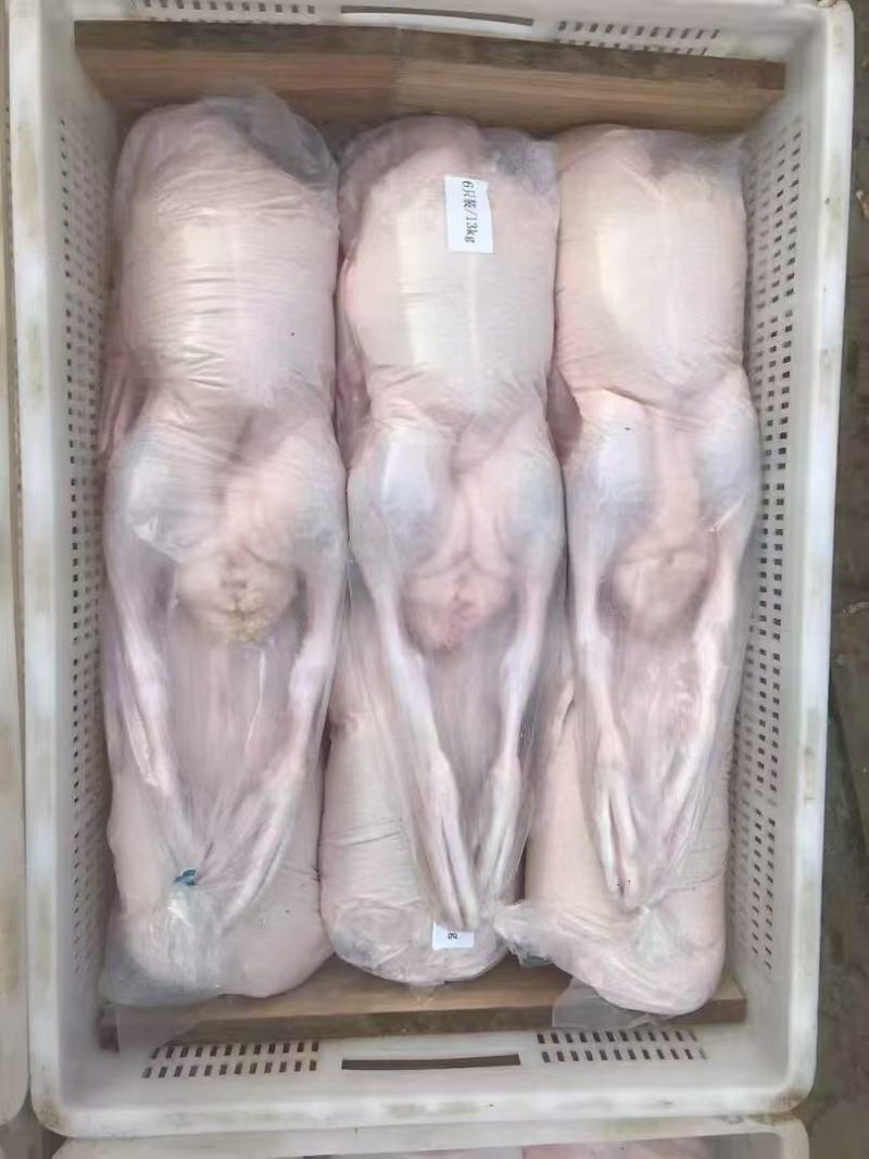 （雁鹅）