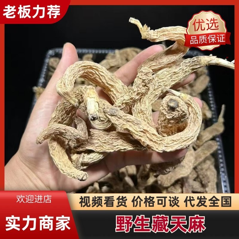 藏天麻野生天麻藏区采挖500g包邮批发高海拔无硫