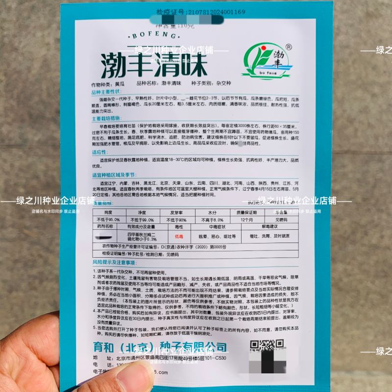 渤丰清味甜脆杂交节节瓜春秋早熟高产旱黄瓜种子