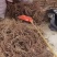 福建野生朱砂根干货大量供应