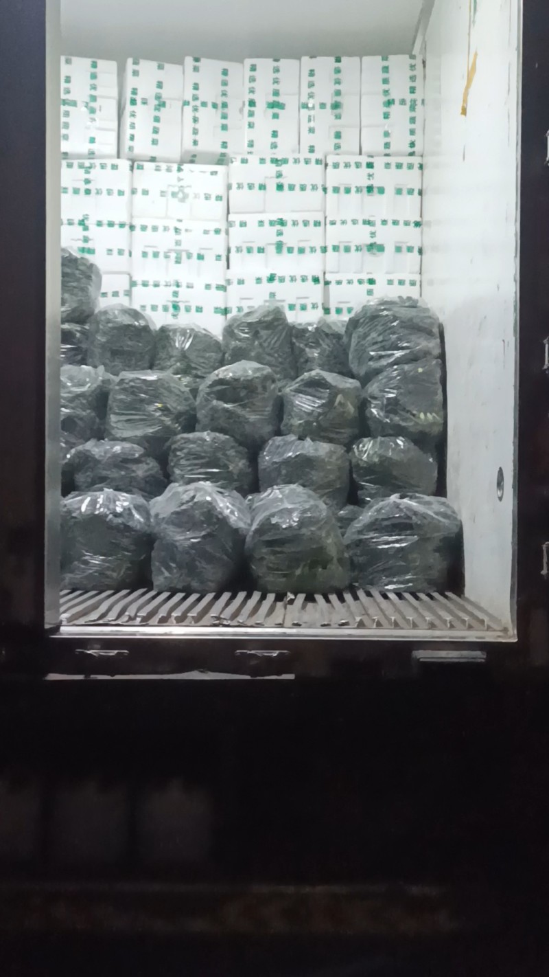 保质保量原产地乌塔菜