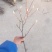 玉兰枝条红白黄玉兰花枝花束插花玉兰花鲜花