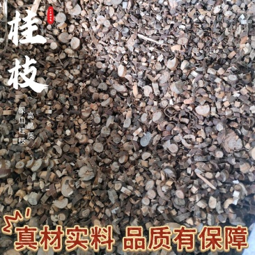 精品桂枝汤桂枝粒桂枝片桂枝尖统货商用批发欢迎下单来电咨询