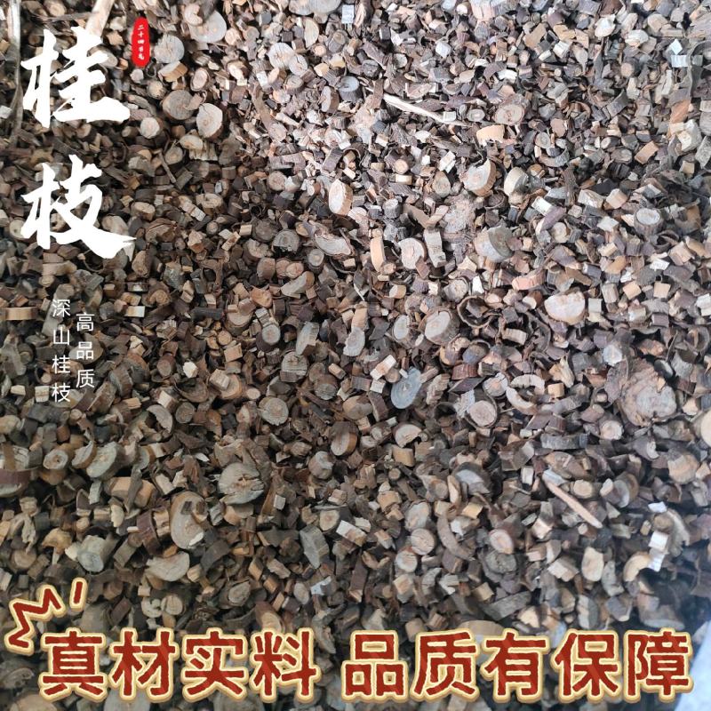 精品桂枝汤桂枝粒桂枝片桂枝尖统货商用批发欢迎下单来电咨询