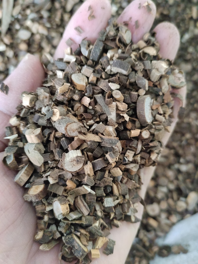 精品桂枝汤桂枝粒桂枝片桂枝尖统货商用批发欢迎下单来电咨询