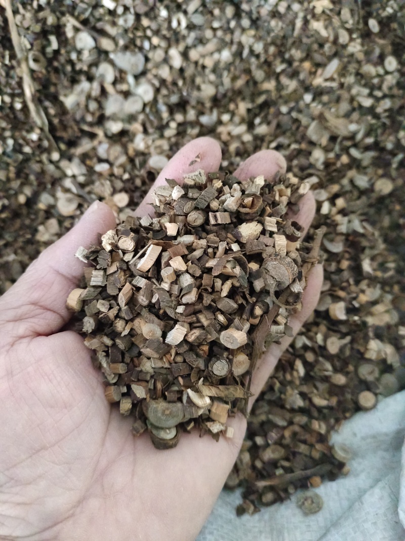 精品桂枝汤桂枝粒桂枝片桂枝尖统货商用批发欢迎下单来电咨询