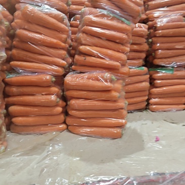 精品水洗胡萝卜大量供应货源充足山东产地直发。