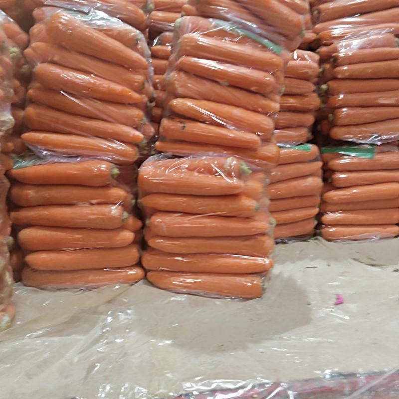 精品水洗胡萝卜大量供应货源充足山东产地直发。